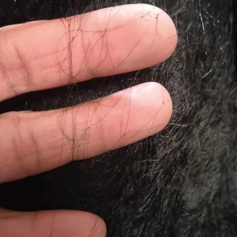 6-30m Nylon Net Plastic Anti Bird Catcher Netting Fruit Tree Flower Garden Mesh  Pest Control Tool