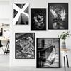 Black White Retro Fashion Photography Art Modern Movie Poster Print Vintage Animal Funny Cover Canvas Painting Room Home Deco