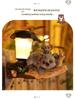 Solar LED Courtyard Lights: Tree Hanging Koala, Owl, and Parrot Garden Ornaments