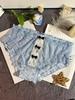 Plus Size Lace Mid-Waist Mesh Triangle Panties for Women (130-200 Jin)