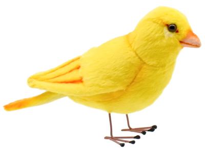 BH7643 HANSA Canary 9