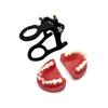 Dental Orthodontic Training Jawbone Model Wax Gingiva Orthodontic Treatment Dental Model