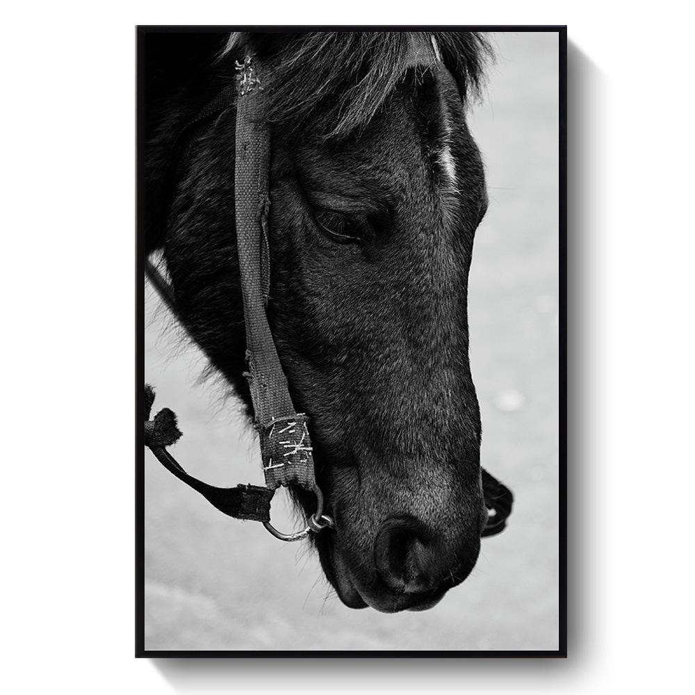 

Украшение гостиной Картина Лошадь Диван Фон Секретный Скандинавский Подвесной Холст Художественная Роспись Черно-Белая Лошадь Животное 21*30cm