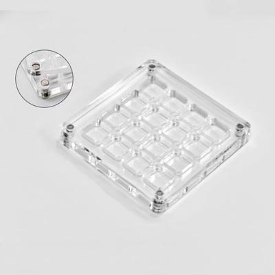 16-Grid Seashell Display Box with Magnets Durable Storage Display Organizer Box Acrylic Seashell Storage Box