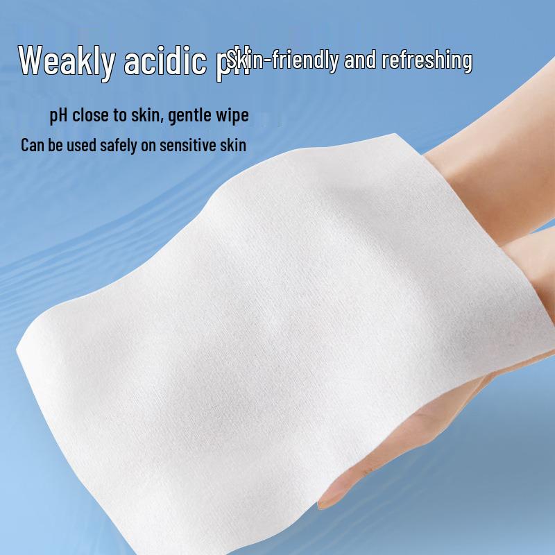 Flushable Wet Toilet Wipes - Large Home Pack