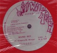 

12inch Record SLUGGY RANKS Sound Boy WA005 Wild Apache US Reggae Ska Dub Used
