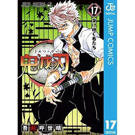 Demon Slayer Kimetsu no Yaiba 17 (Jump Comics DIGITAL)