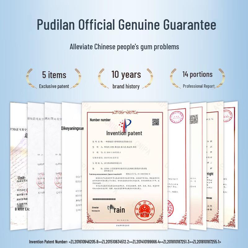 Pudilan Multi-Effect Special Care Mint Toothpaste