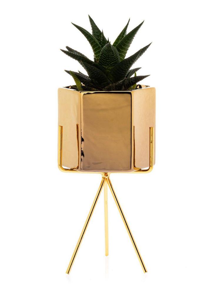 Doniczka Sashi Gold 20 Cm