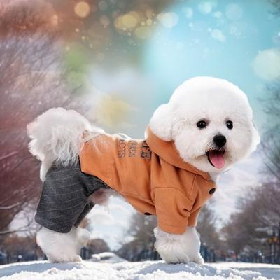 Giyim ve ayakkabı – Köpekler İçin Kapşonlu Kazaklar