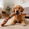 Hund Plüsch Kauspielzeug Zahnreinigung Simulierte Wurst Quietscht mit BB-Geräusch Langlebiges Welpenspielzeug Bissfest Molaren Hundezubehör