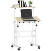 Mobilier de birou – Birouri de calculatoare