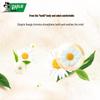 Darlie Tea Care Hangzhou Chrysanthemum Longjing Zahnpasta (12x140g)
