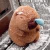 Capybara Sleepy Plush Hug Pillow - Birthday Gift for Girlfriend