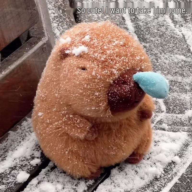 Capybara Sleepy Plush Hug Pillow - Birthday Gift for Girlfriend