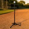 Adjustable Batting Tee Collapsible Portable Stable Base for Students