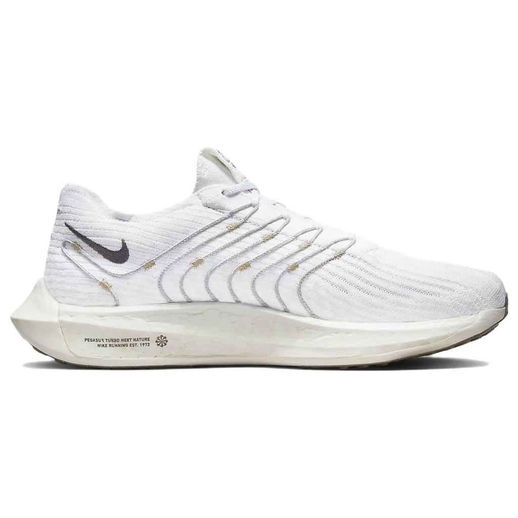 Nike Pegasus Turbo Next Nature White Light Bone Men Sneakers Light-Iron-Ore Iron-Grey DM3413-100