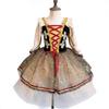Puffy Swan Lake Ballet Dress Sequin Lace Kids Ballet Dress Fashion Ballet Tutu Skirt  Children