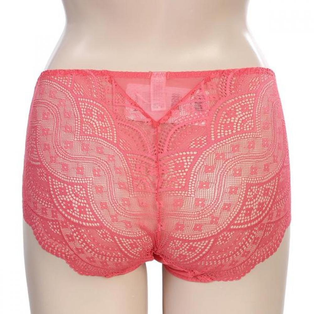 Barbara 2color Lace Triangle Panty Abp4458 