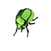 Simulation Beetle Wind Up Toy Stress Relief Crawling Insect For Kids Adult Educational Science Exploration Learning Toy