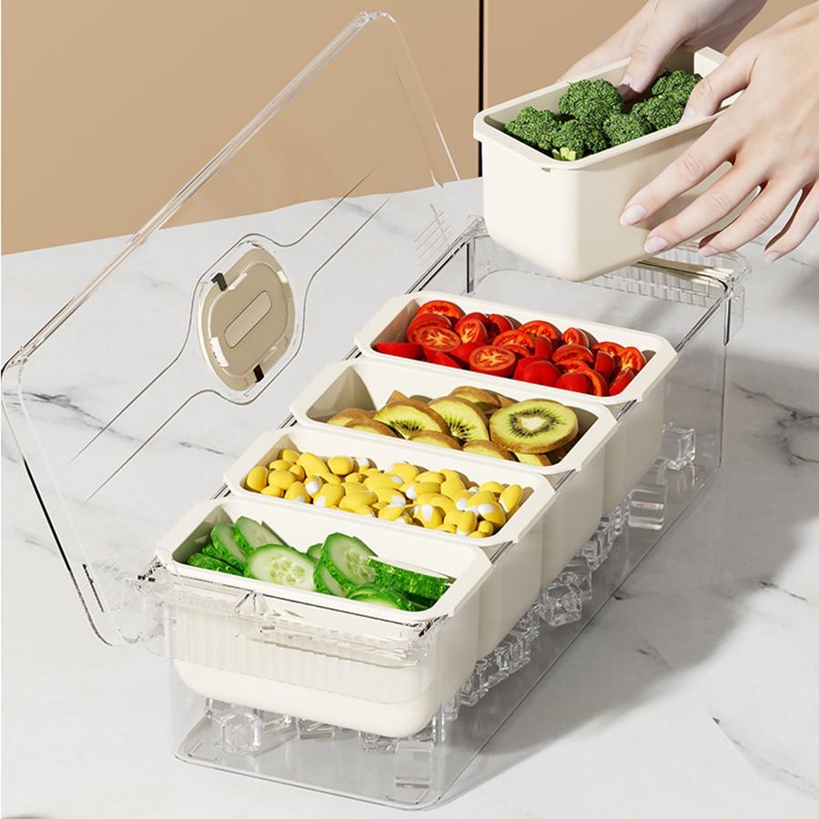 Ice Chilled Condiment Caddy with 5 Containers, Fruit Plate Server with  Lids, Serving Tray Platter with Removable Dishes