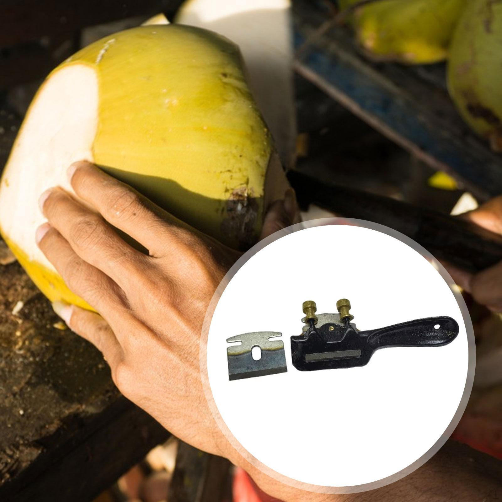 

Coconut Peeler for Fruits Vegetable Stainless Steel Home Restaurant Shop