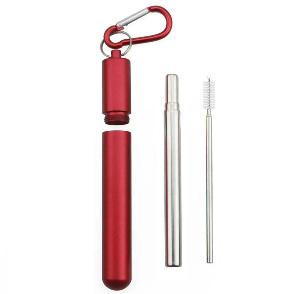 Collapsible Straw Set with Silicone Tips and Carabiner Hook