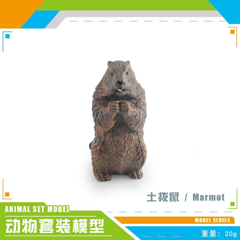 Simulated Forest Animal Groundhog Tree Frog Crocodile Koala Weasel Salamander Skunk Badger Static Ornament
