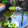 1pcs [Never Feed] Simulated Floating Goldfish Self-swimming Aquarium Decoration