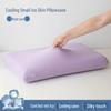 Free Shipping Ice Silk Pillowcases: Set of Two Cooling, High Elasticity, Summer Memory Foam Covers