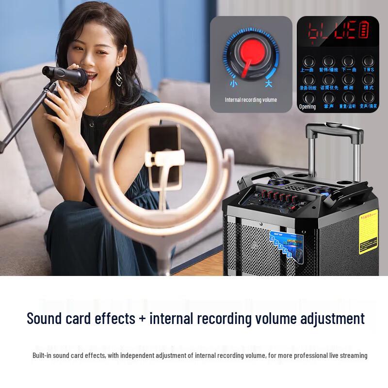 SAST SA-162 12-inch Portable Outdoor KTV Trolley Speaker CN plug (adapter included)