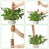 2pcs Moss Pole for Climbing Plants Coir Totem Plant Climbing Vine Coconut Palm Stick Grow Upward Plant Support Poles