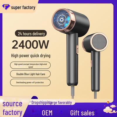 High-Power Hair Dryer for Home, Quick-Dry with No Damage, Hot/Cold Air, Constant Temperature Control