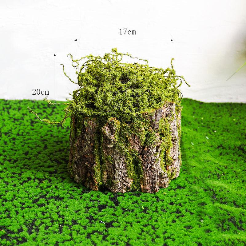 Artificial Moss Turf Carpet for Indoor & Outdoor Decoration