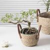Woven Planter Basket Flower Pot Organizer Decorative Storage Basket, Plant Holder for