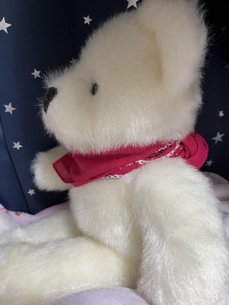 [USED] Hirokun House Teddy Bear