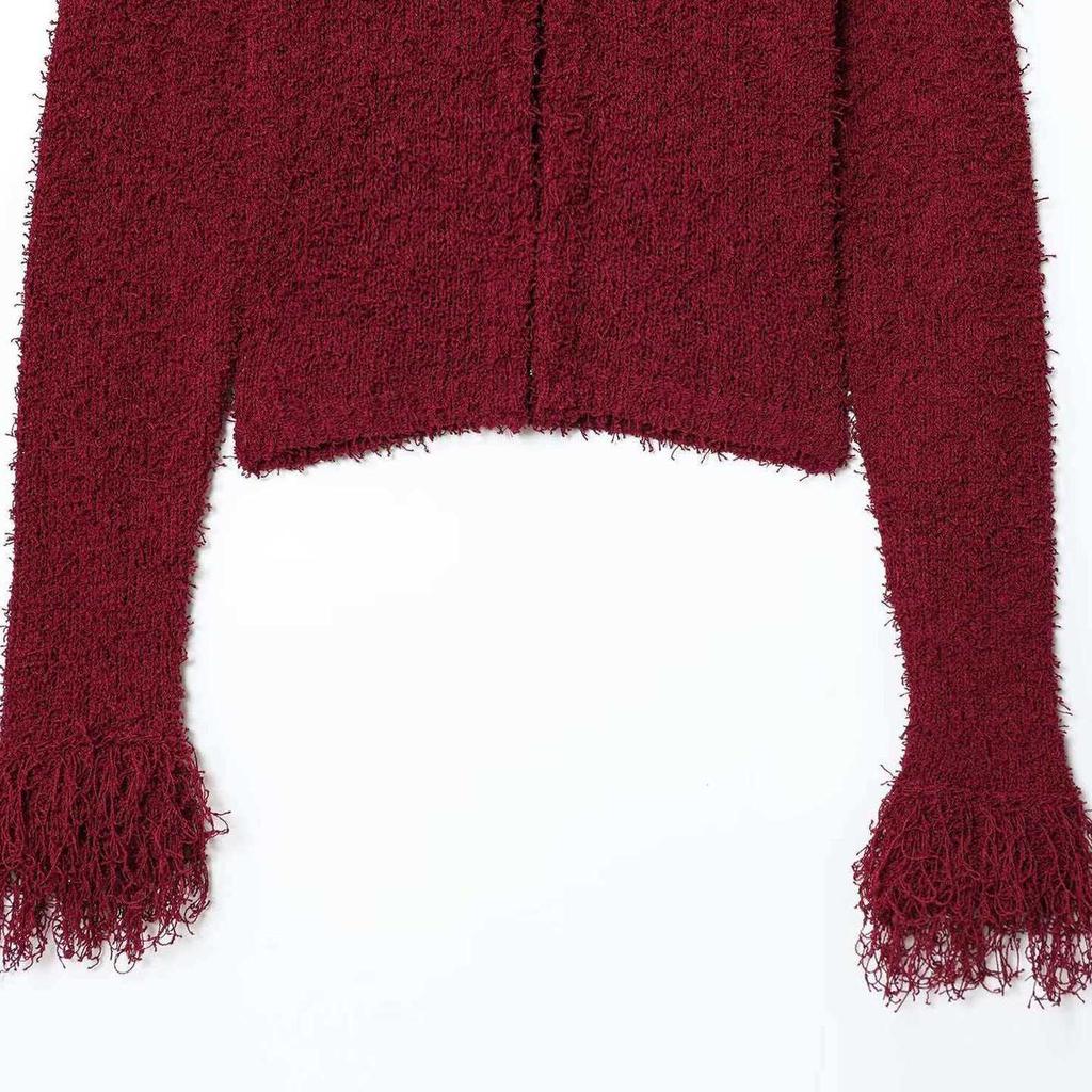 Autumn European Fashion: Versatile Women's Tassel Knit Jacket