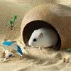 Coconut Shells Hut for Reptiles Hamsters Hideout Shelter Breeding Hermit Ornament House Aquarium Decor Growth Shelter