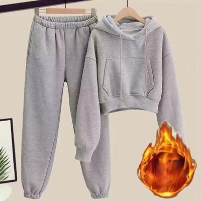 Small Autumn and Winter Casual Fashion Suit Women's Velvet Thickened Hooded Sweatshirt Sweatpants Sportswear Winter Two-piece Set