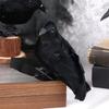 With Shoulder Strap Halloween Simulation Crow Plush Crow Toy  Holiday Party Decoration