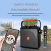 BD-H2125 Portable Bluetooth KTV Speaker with Microphones