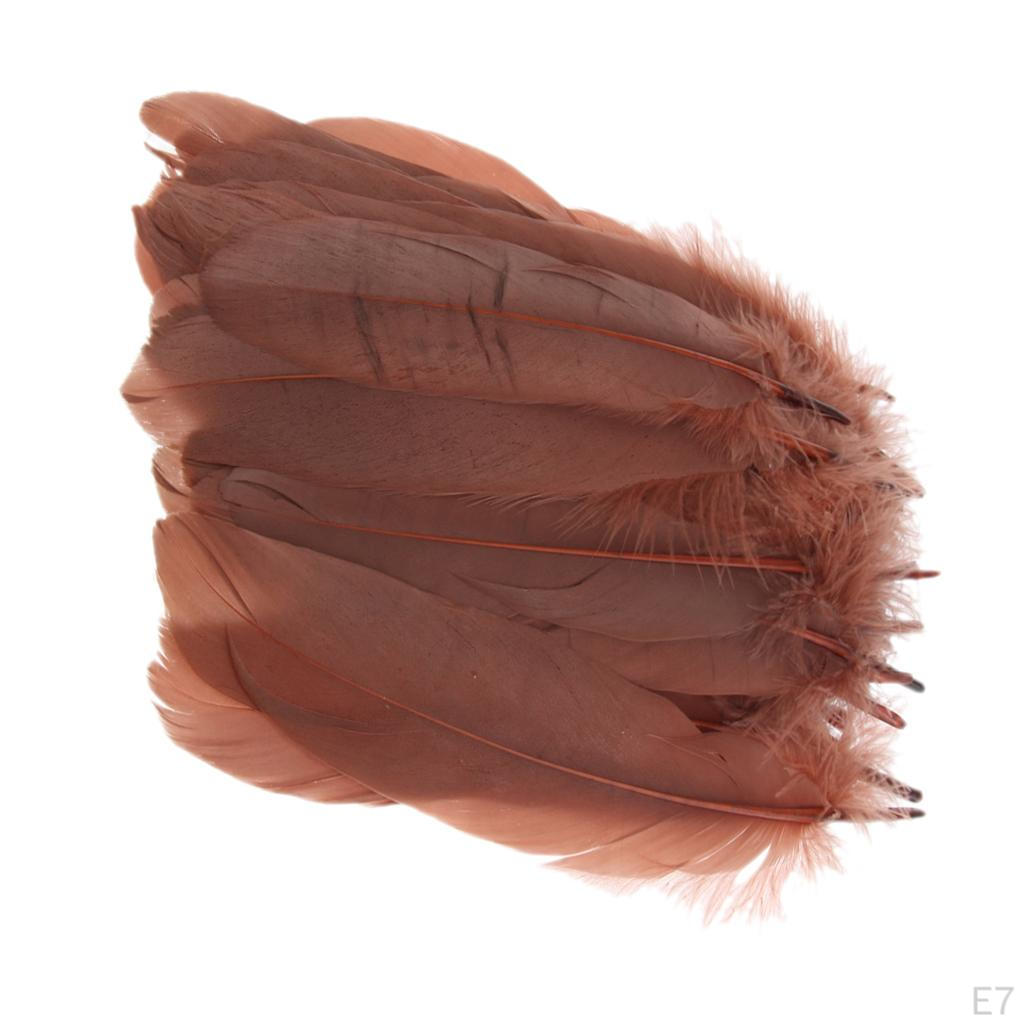 Federn 0,6 Zoll Bastelbedarf für Hochzeitsfeier Dekoration Packung mit 50 Stück