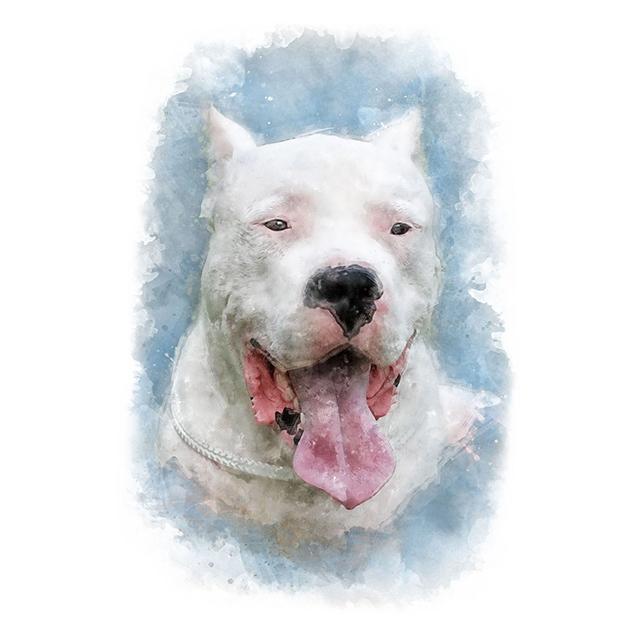 Aquarell Tiere Niedlicher Hund Bunter Druck Poster Leinwand Malerei Hd Modern Wandkunst Bild Für Wohnzimmer Schlafzimmer Heimdekor