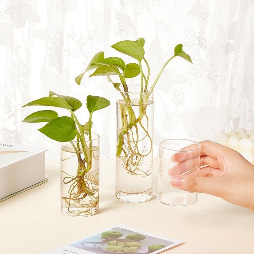 Light Luxury Vase Ins Style Cylinder Vase Transparent Flower Vase Living Room Decoration Vase Household Hydroponic Plants Cup