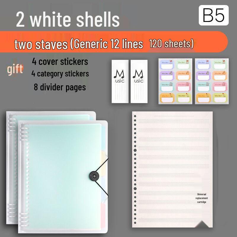 Professional Loose-leaf Music Staff Paper Book: Wide Spacing for Beginners and Students (Large Grid)