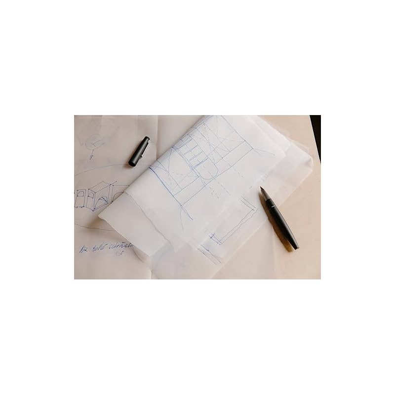 LAMY 2000 Black Fountain Pen - Elegant Fountain Pen with a Durable Polycarbonate Body - 14K Gold Nib (partially Platinum-plated) - Nib Size F