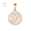FJ 12 Zodiac Sign 585 Gold Color Constellation Rose Pendants Capricorn/Gemini Twisted + 50cm Chain Women Men Zircon