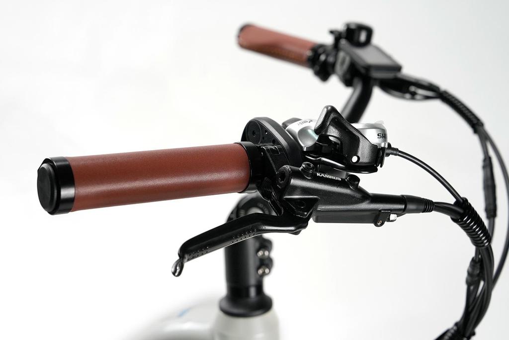 TTGO C3 PRO City Electric Bike 250W Bafang Motor 36V20Ah Battery 28 Inch Tires Max Range 80–120 Km Shimano 7-Speed