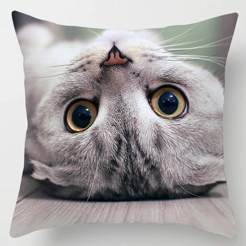 Süße Katze Umarmungskissenbezug Haustier Interaktive Illustration Kissen Heilende Heimdekoration Sofakissen