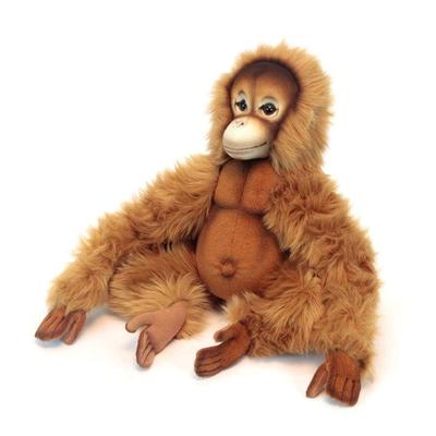 BH6698 HANSA Orang-Utan 27